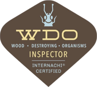 InterNACHI Certified WDO Wood Destroying Organisms Inspector - termite inspections, Buffalo Property Inspections, Dallas-Fort Worth TX